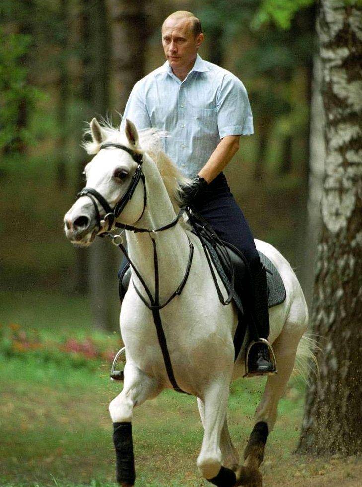 爱游戏在线登录-亚美尼亚选手接连夺冠，风头无两的简单介绍