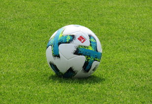 爱游戏在线-沙尔克04客场艰难逼平对手，双方战力不相上下，沙尔克04ds