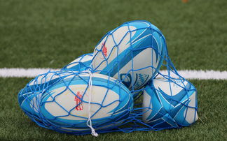 爱游戏登录入口-拜仁慕尼黑止步连胜，终结豪迈征程，拜仁慕尼黑集锦