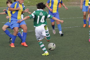 爱游戏入口-波鸿队客场扳平比分，德甲保级希望重新燃起